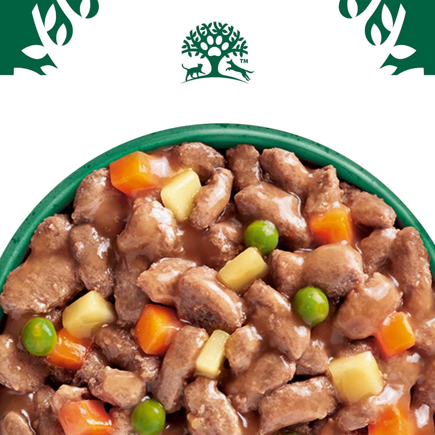 81 mCgMzZ7L. AC SL1500 .jpg