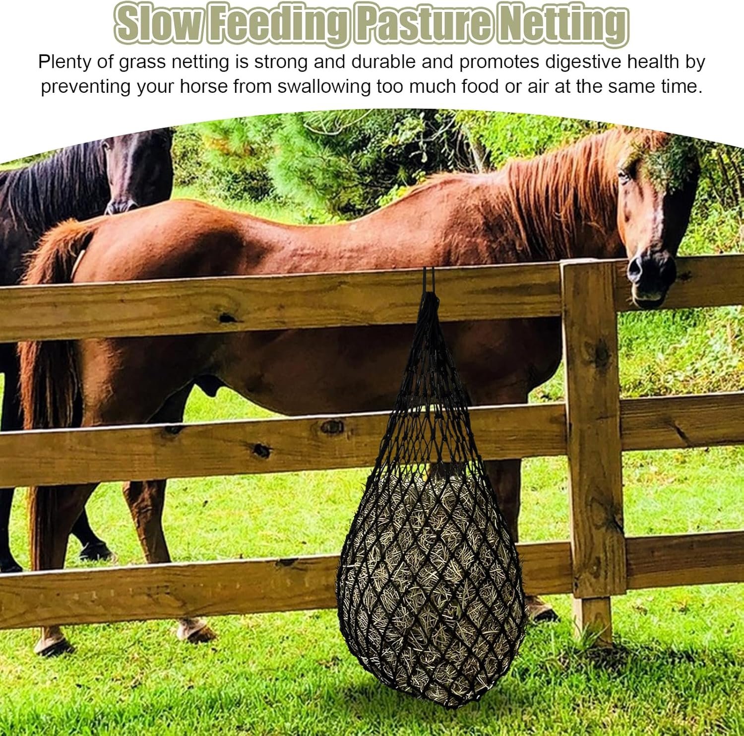 81 q8DrADL. AC SL1500 .jpg