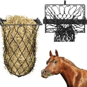 81 vV3UozYL. AC SL1500 .jpg