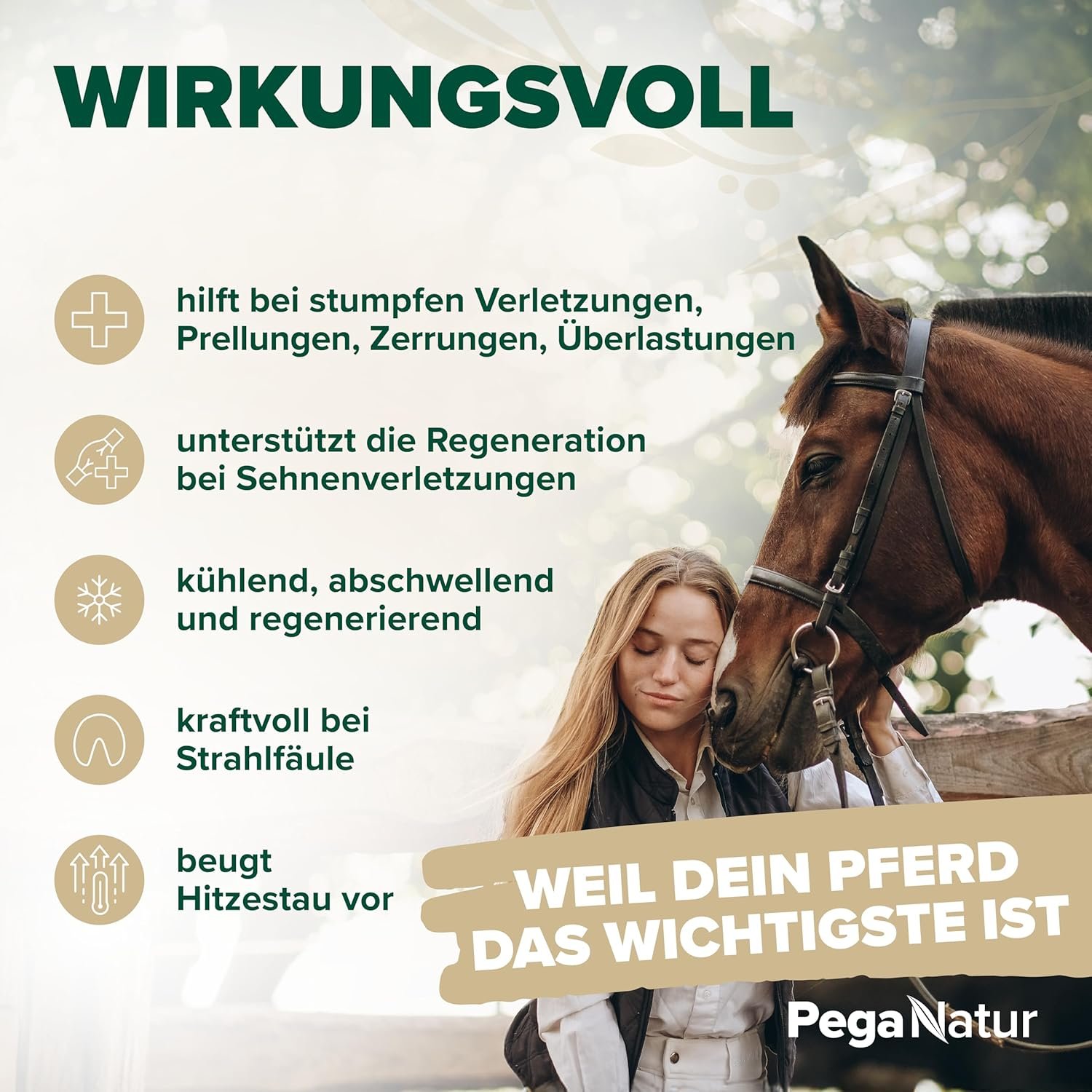 810a37FQlAL. AC SL1500 .jpg