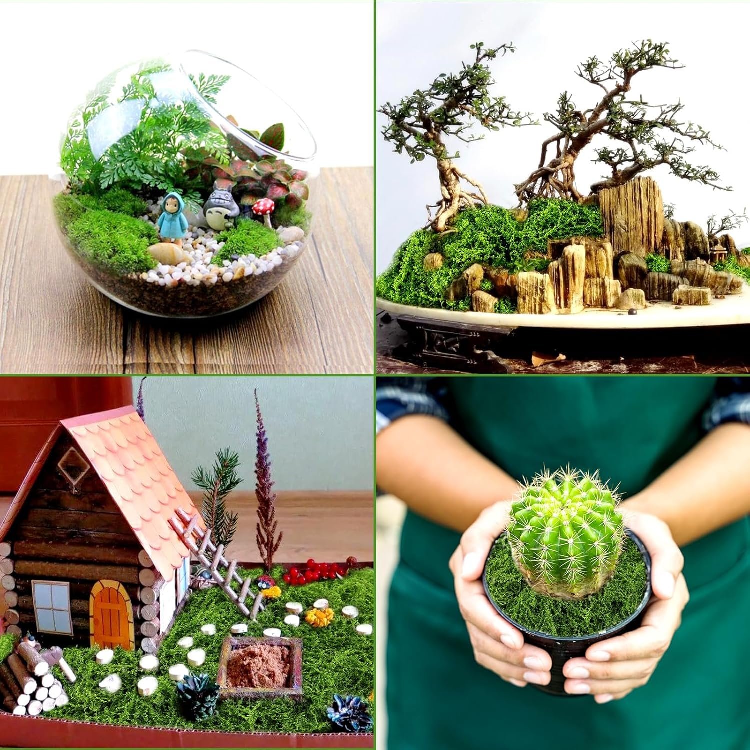 811Adsywd0L. AC SL1500 .jpg