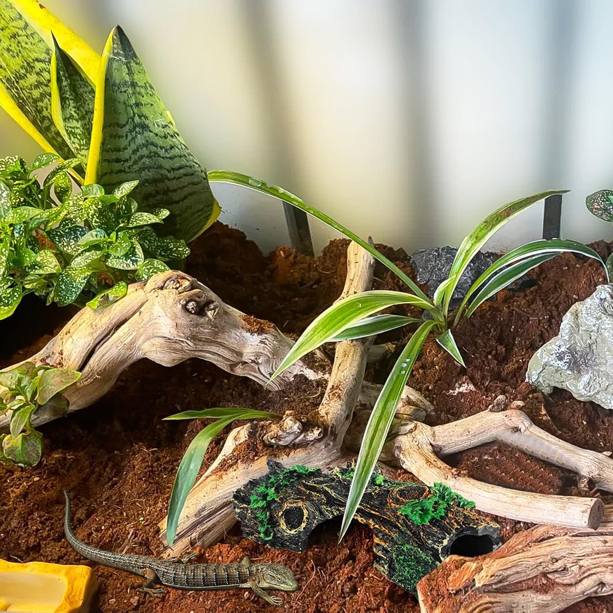 812gt7tZzQL. AC SL1200 .jpg