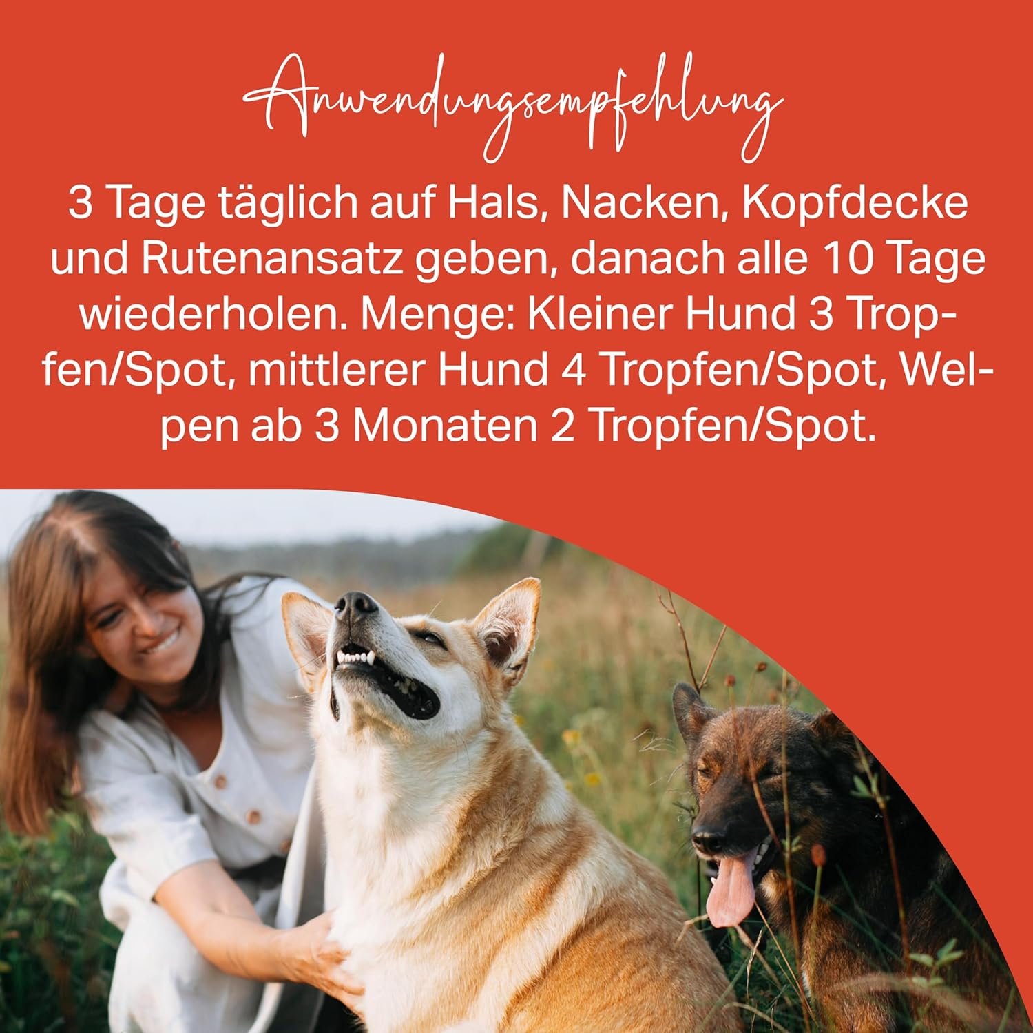 812hau1iGPL. AC SL1500 .jpg