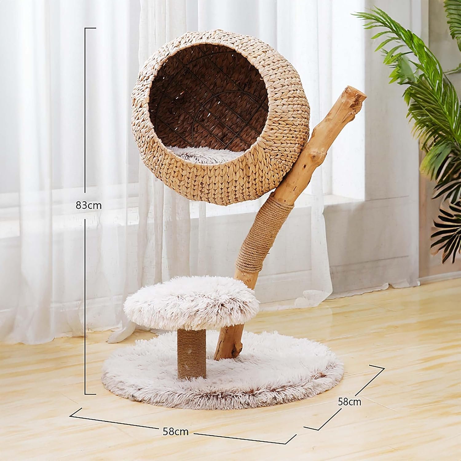 813FELgHLpL. AC SL1500 .jpg