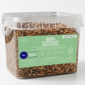 813MQpb9FkL. AC SL1500 .jpg