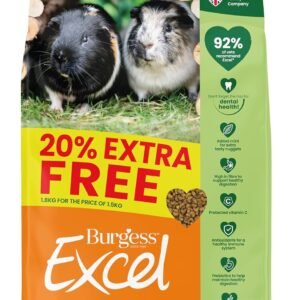 813Ufx5CgPL. AC SL1500 .jpg