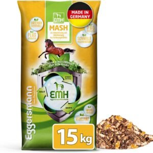 813fCVpItAL. AC SL1500 .jpg