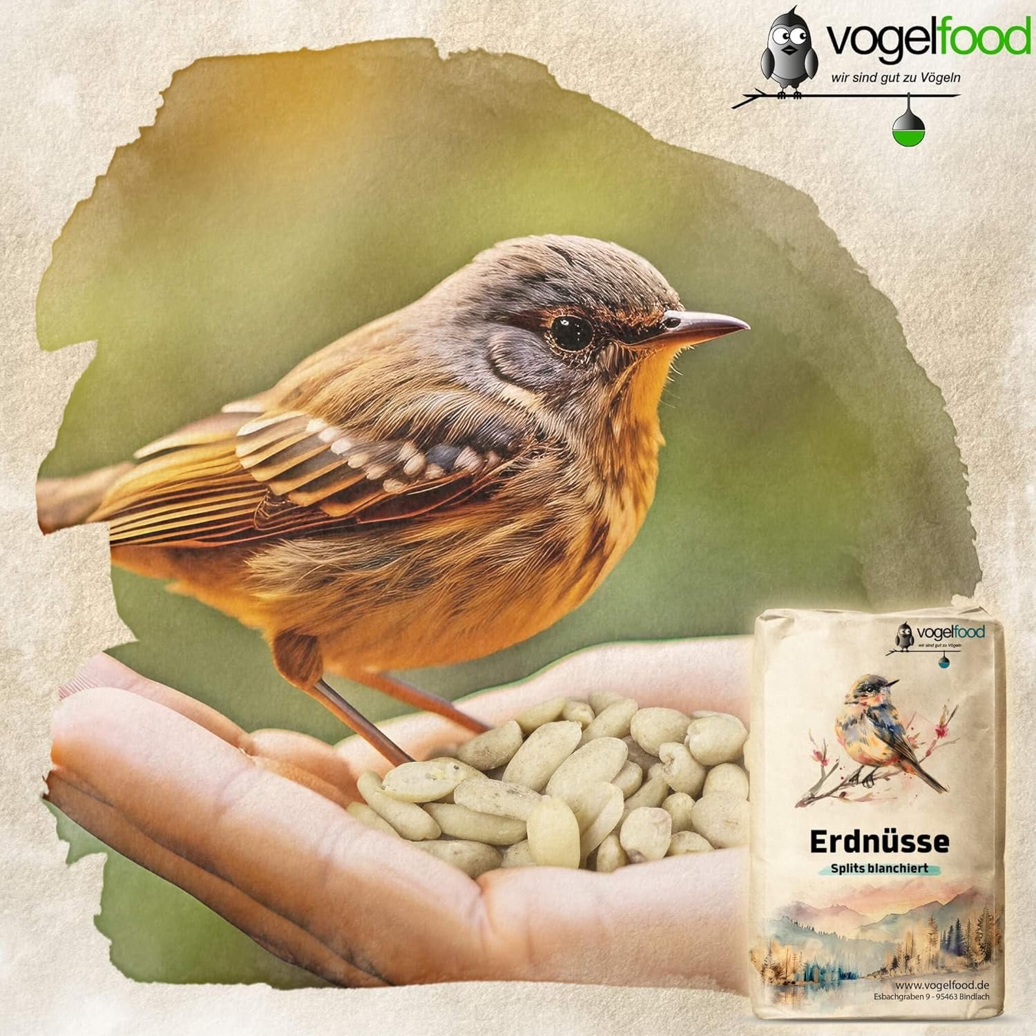 813t9DG3c3L. AC SL1500 .jpg