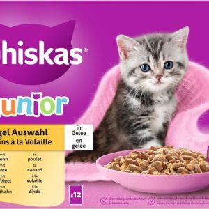 814AQHEIs4L. AC SL1500 .jpg