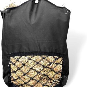 814fFNOLeL. AC SL1500 .jpg