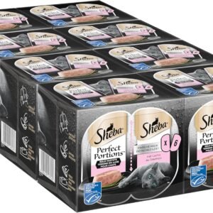 81526Y5hkkL. AC SL1500 .jpg