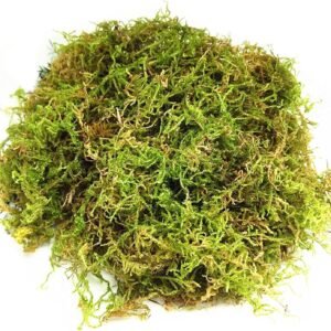 815Q4ZEQbbL. AC SL1500 .jpg