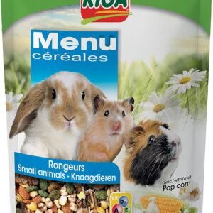 815bcBL3UwL. AC SL1500 .jpg