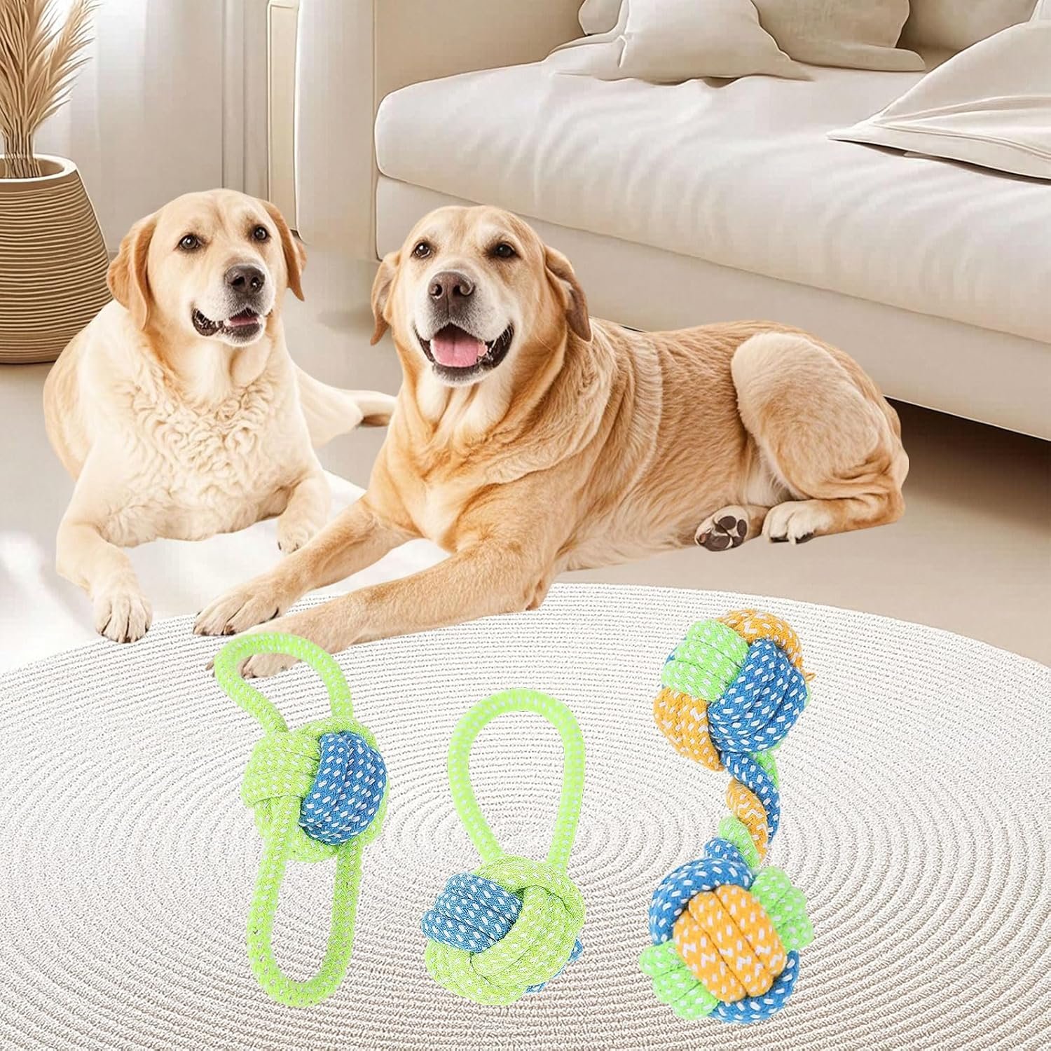 815fo6RGxQL. AC SL1500 .jpg