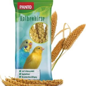 815xQMEld1L. AC SL1500 .jpg