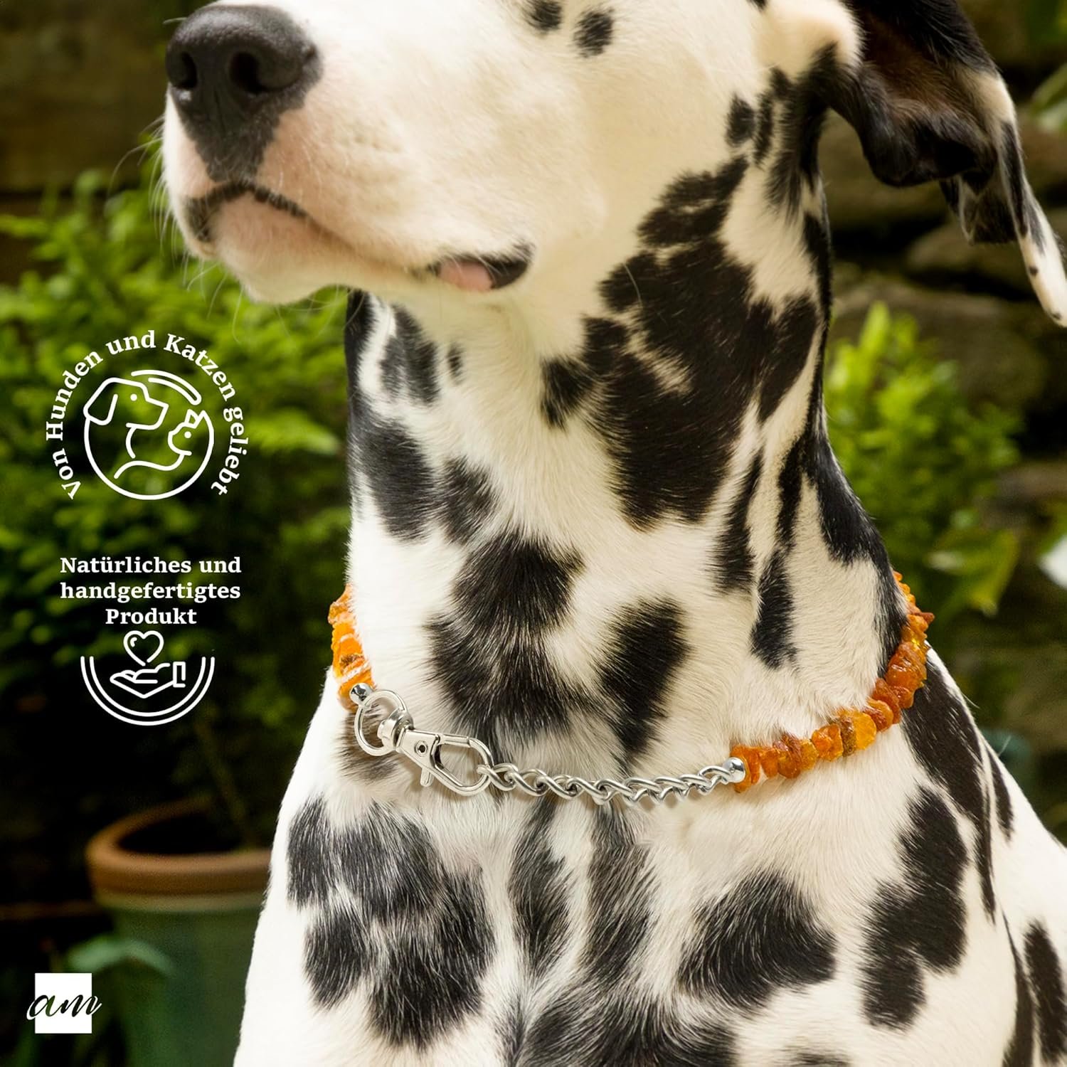 815zvh9yB4L. AC SL1500 .jpg