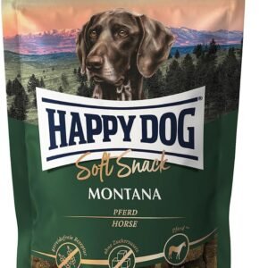 8166pJAlhXL. AC SL1500 .jpg