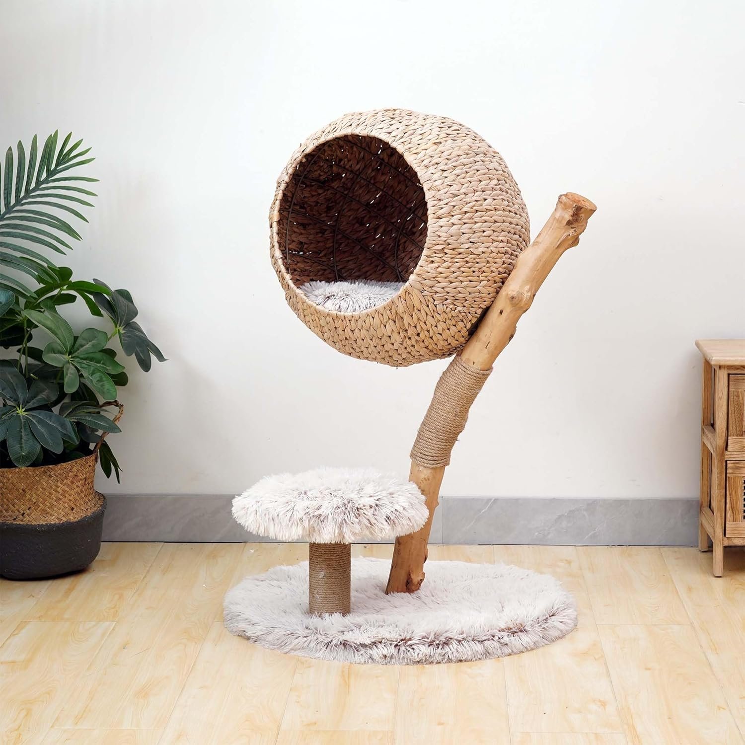 816NSBIjCXL. AC SL1500 .jpg