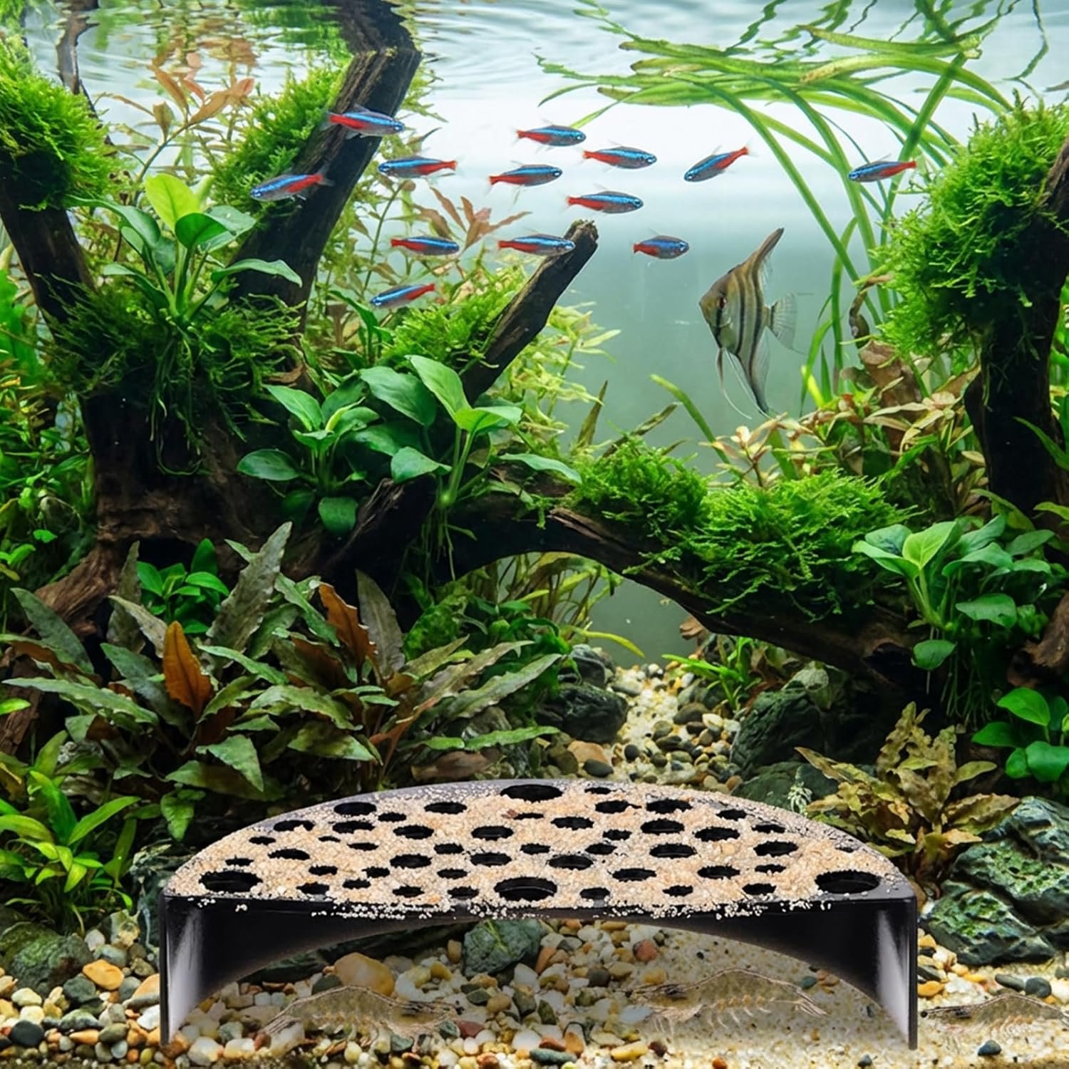 816ylwOR4KL. AC SL1500 .jpg