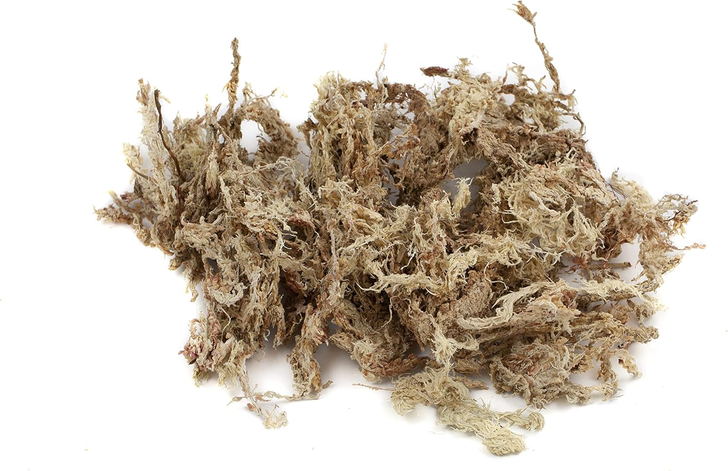 817KGYcw8SL. AC SL1500 .jpg