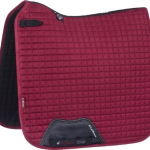 817KxFS9GsL. AC SL1500 .jpg