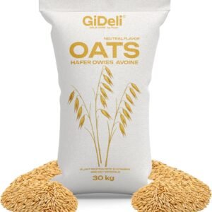 817pWtDA6dL. AC SL1500 .jpg