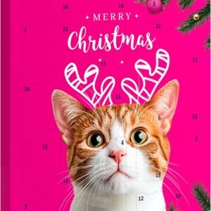 8187HTEneL. AC SL1500 .jpg