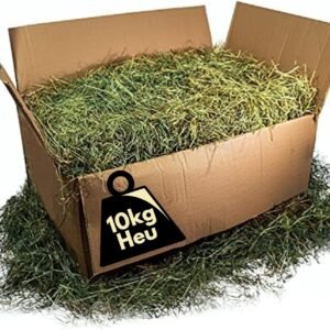 818XwsPNIrL. AC SL1500 .jpg