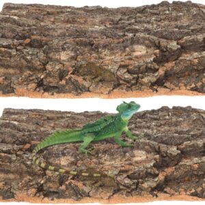 818fRsTDZaL. AC SL1280 .jpg