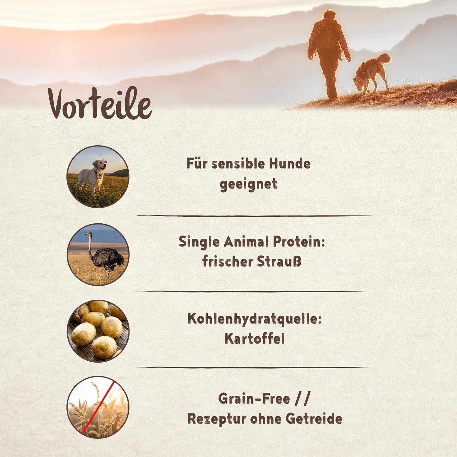 818wRx bJiL. AC SL1500 .jpg