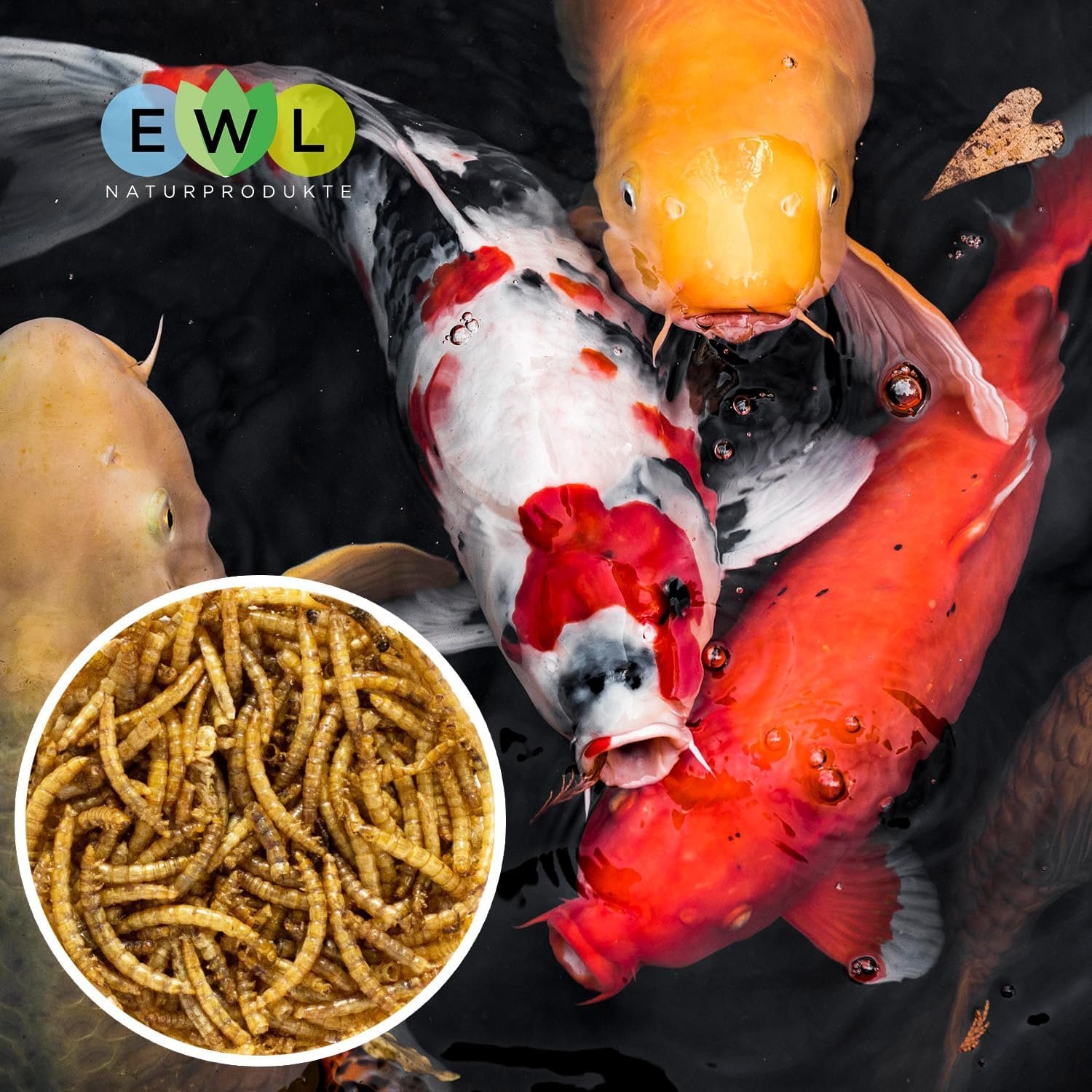 819AMK wzjL. AC SL1500 .jpg