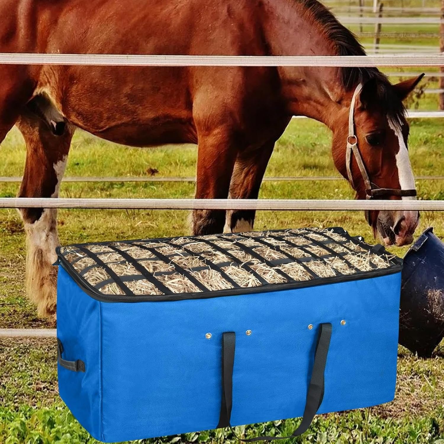 81A8T83rP9L. AC SL1500 .jpg