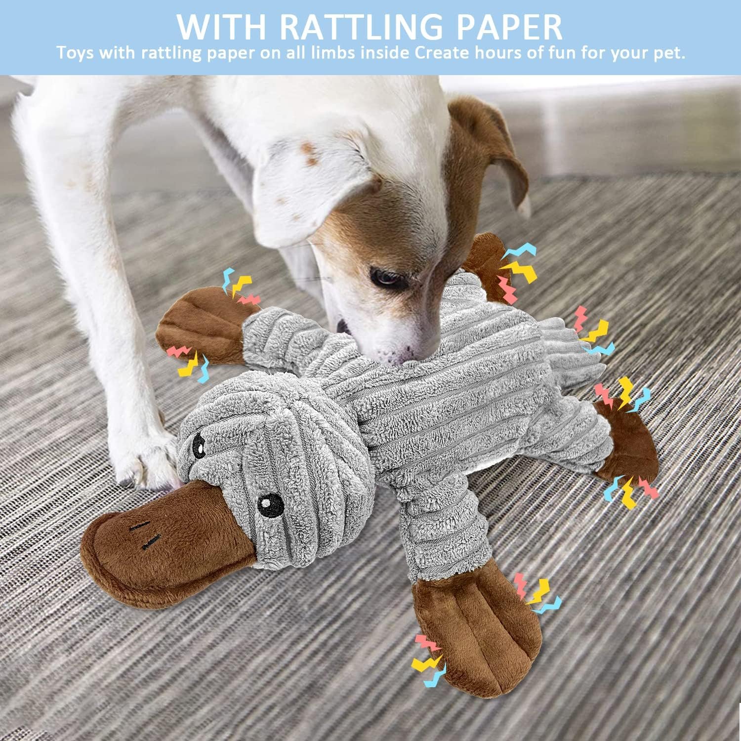 81BO3Z1mXzL. AC SL1500 .jpg