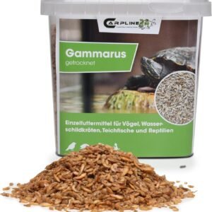 81BxyTPaFGL. AC SL1500 .jpg