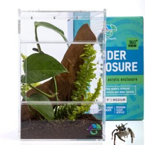 81C PDtapuL. AC SL1500 .jpg