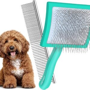 81C3UQRXv8L. AC SL1500 .jpg