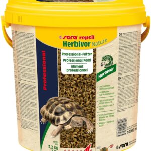 81D2U xVWwL. SL1500 .jpg