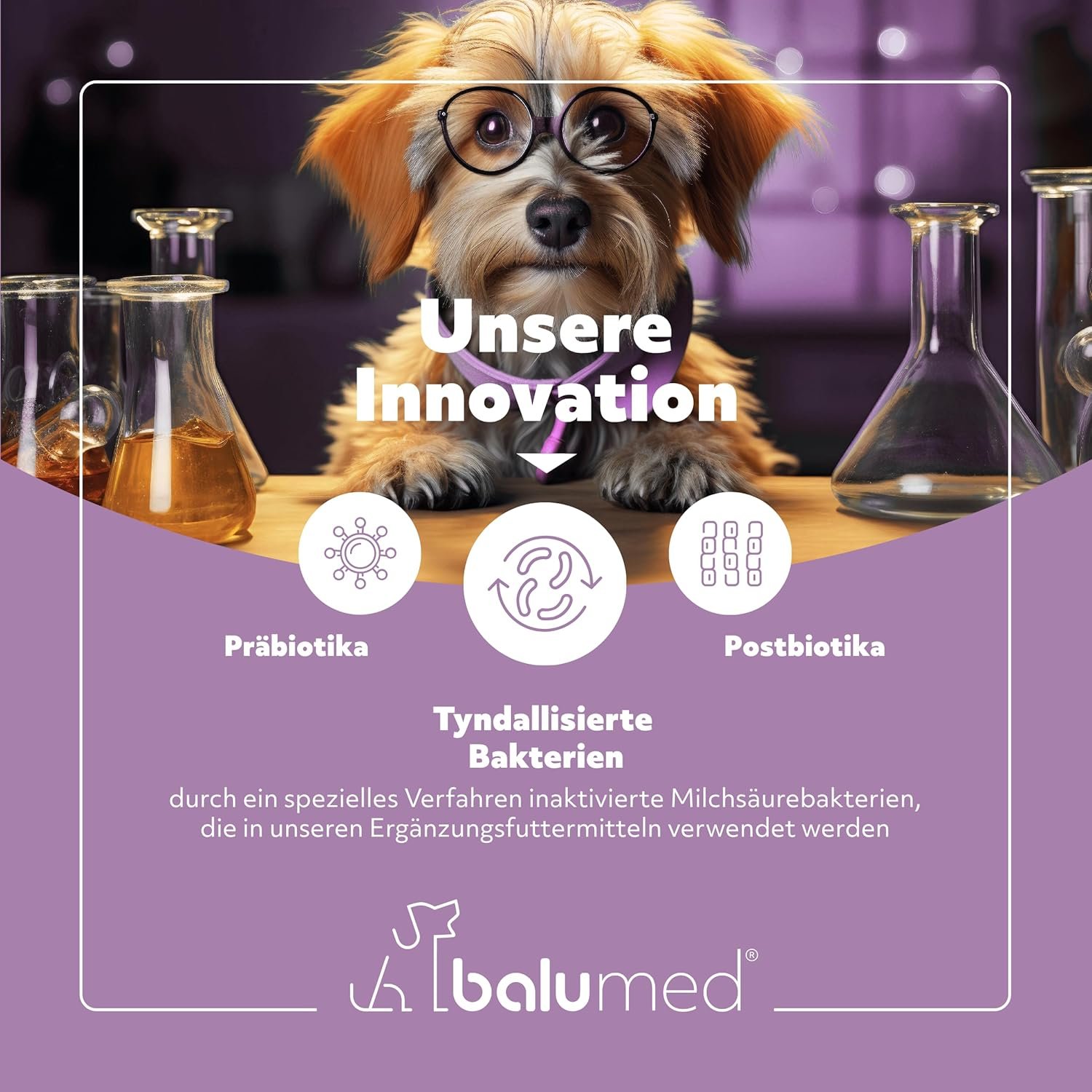 81DIt9yJLGL. AC SL1500 .jpg