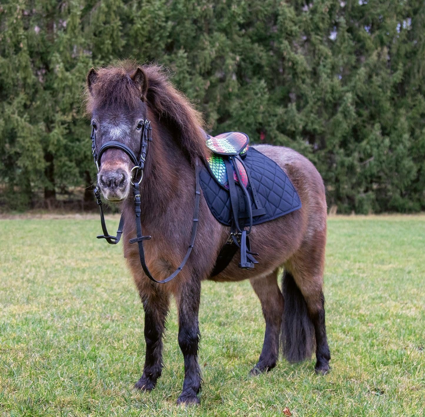 81DXHCt40FL. AC SL1445 .jpg