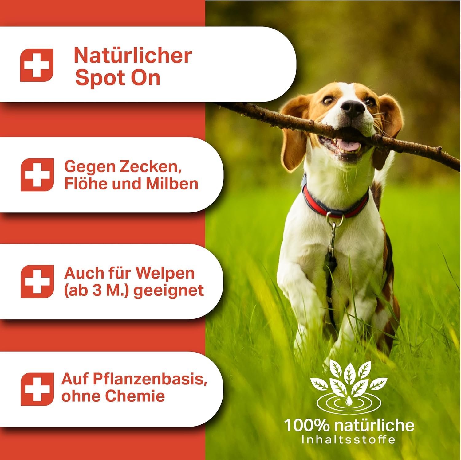 81DsI1qch L. AC SL1500 .jpg