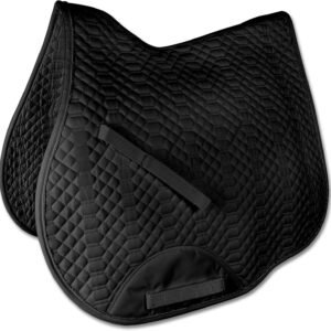 81EFeYExnwL. AC SL1500 .jpg