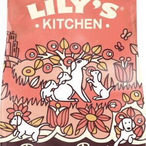 81ETTfIChlL. AC SL1500 .jpg