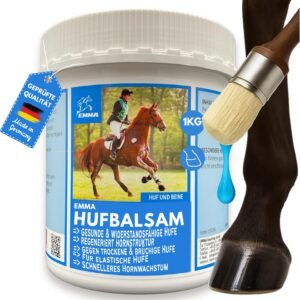 81EpPuIWCzL. AC SL1500 .jpg