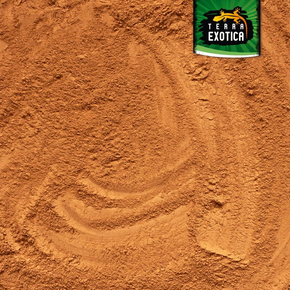 81FgYjVtBJL. AC SL1000 .jpg