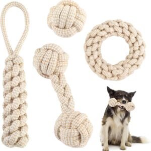 81Fst2XrSHL. AC SL1500 .jpg