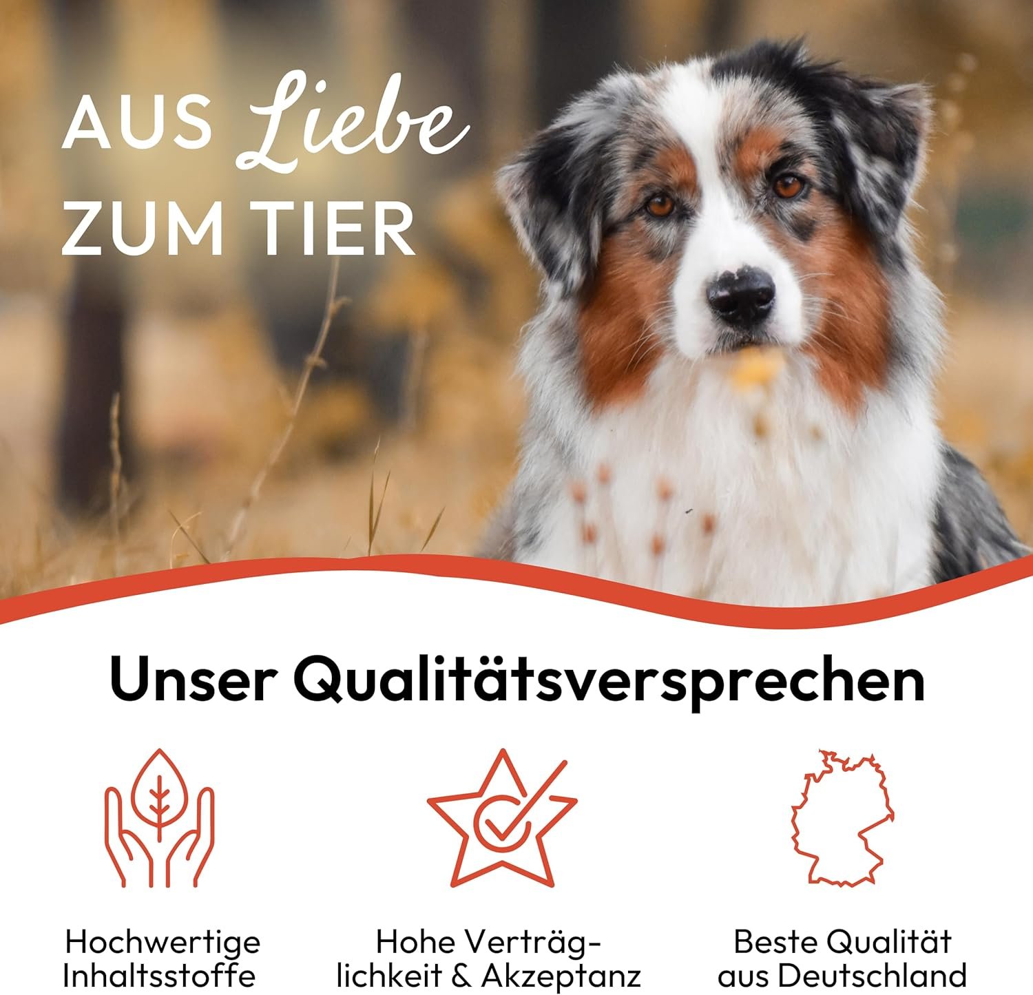 81G1UfdveL. AC SL1500 .jpg