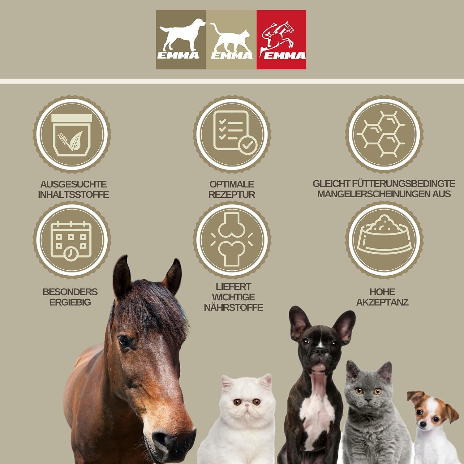 81GHxNxu8L. AC SL1500 .jpg