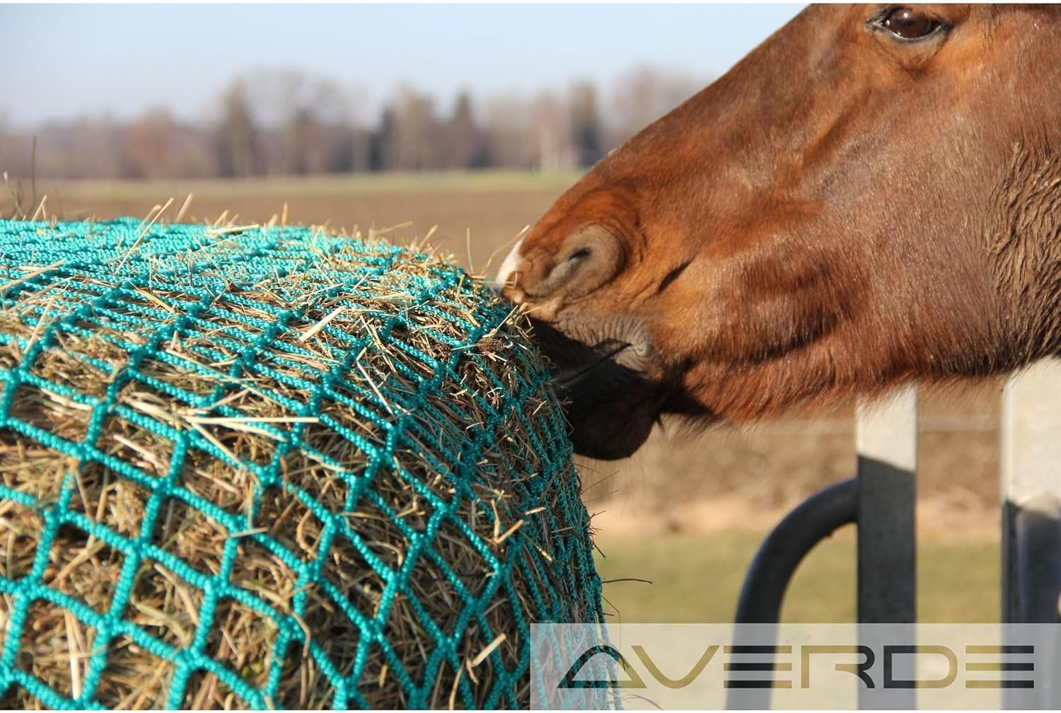 81GQnRt2EdL. AC SL1500 .jpg