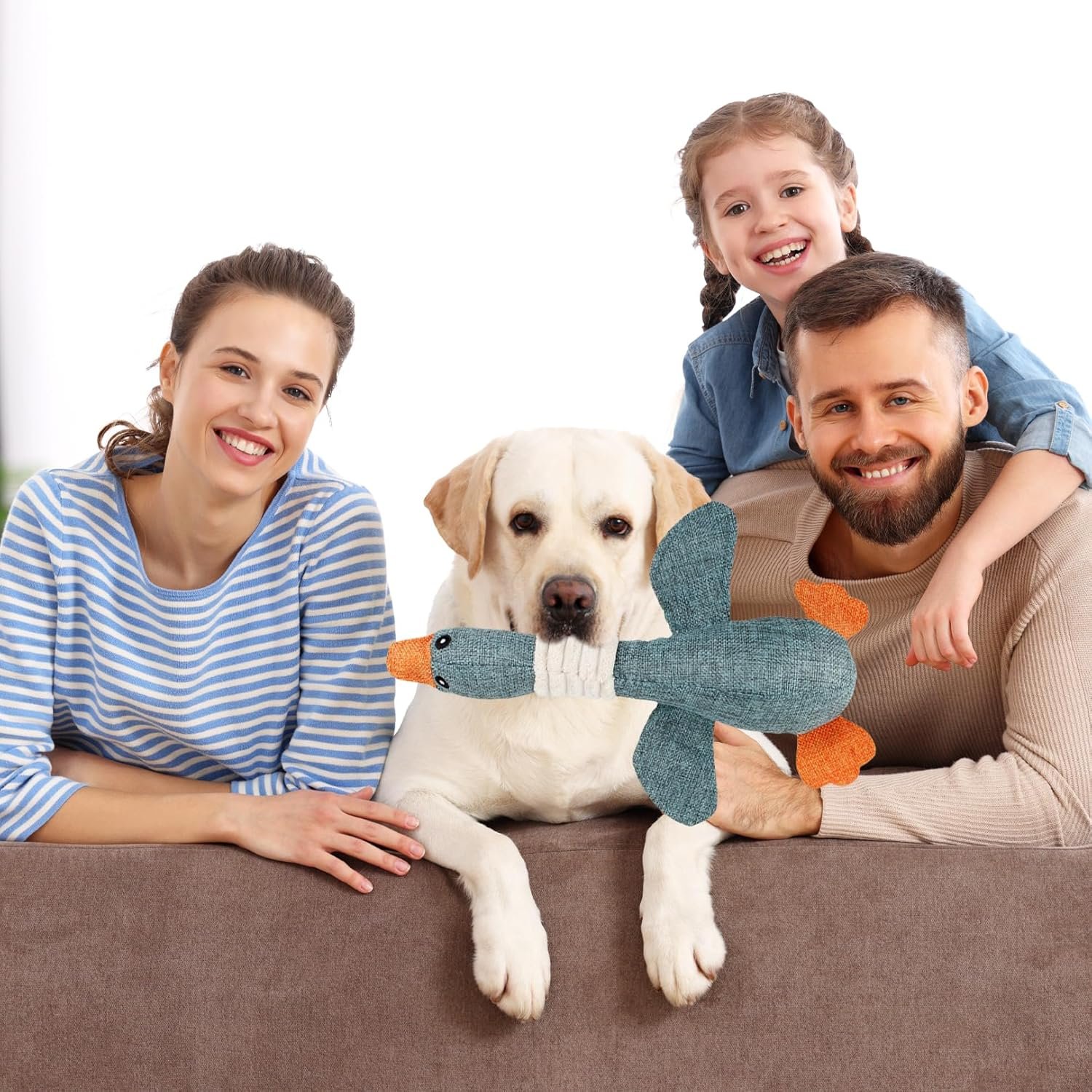 81GoOVy4HYL. AC SL1500 .jpg