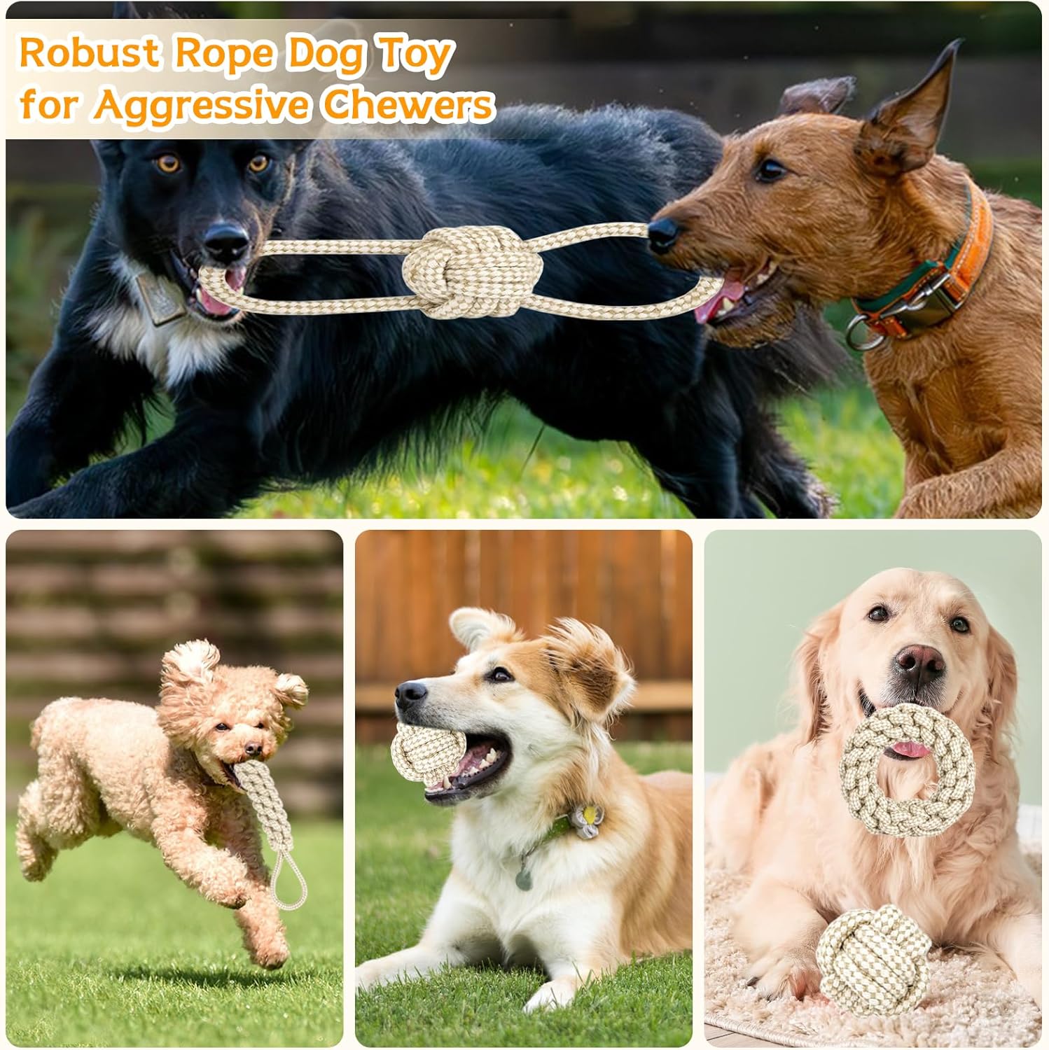 81GpAq9WEbL. AC SL1500 .jpg